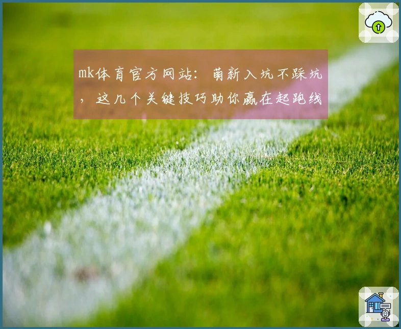 mk体育官方网站：萌新入坑不踩坑，这几个关键技巧助你赢在起跑线！